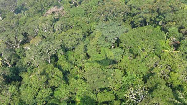Helikopter dengan 13 Penumpang Hilang di Hutan Amazon