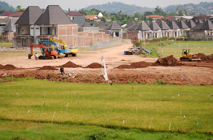 Peralihan Konversi Lahan Mempersulit Swasembada Pangan