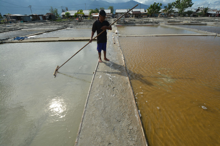 Pengamat Nilai Satgas Tak Diperlukan untuk Awasi Komoditas Garam