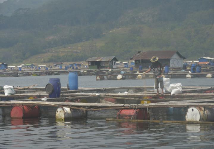 200 Peternak Ikan di Jatiluhur Tolak Penggusuran