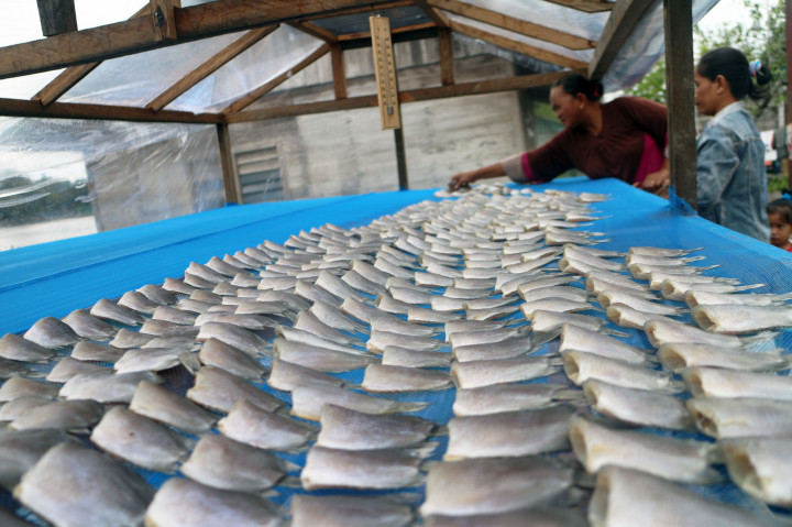 Ikan Asin Thailand & Filipina Serbu Karawang