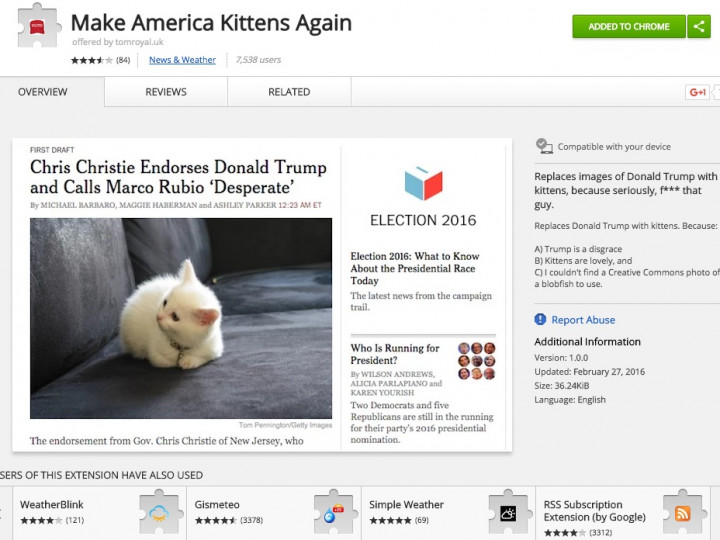 Ekstensi Chrome Sulap Foto Trump Jadi Kucing