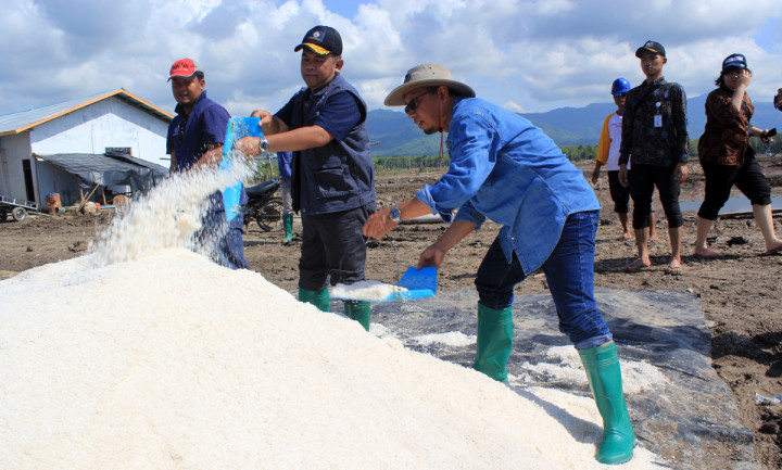 Ketergantungan Impor Garam Farmasi Akan Berkurang di 2018