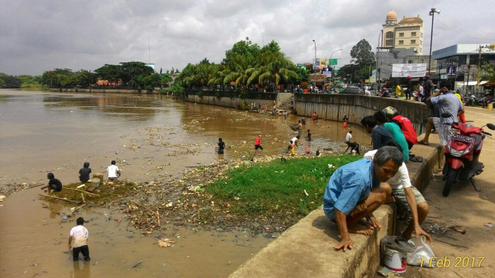 Ikan Sungai Cisadane Mabuk