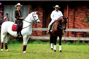 Prabowo Minta tak Diadu Domba dengan Jokowi