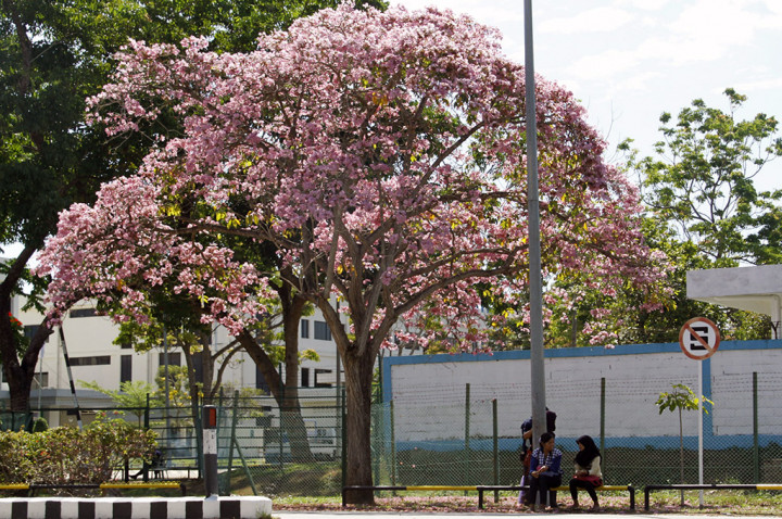 Empat Kawasan Industri di Batam Dapat Fasilitas KILK dari BKPM