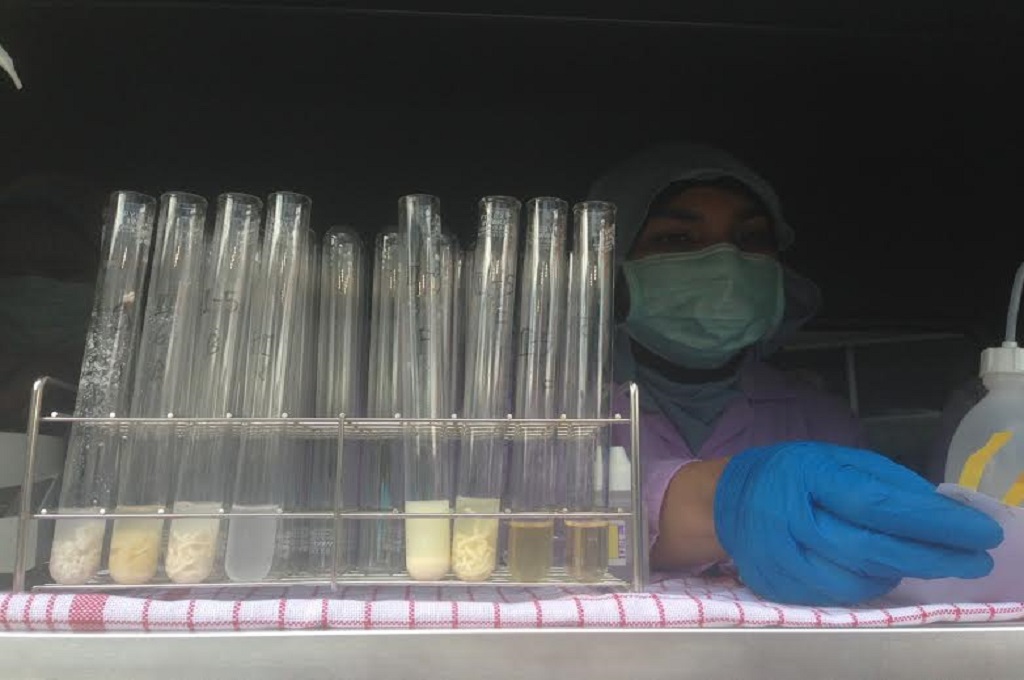 Petugas BBPOM mengecek kandungan pada sampel makanan, MTVN - Nurul Fajri