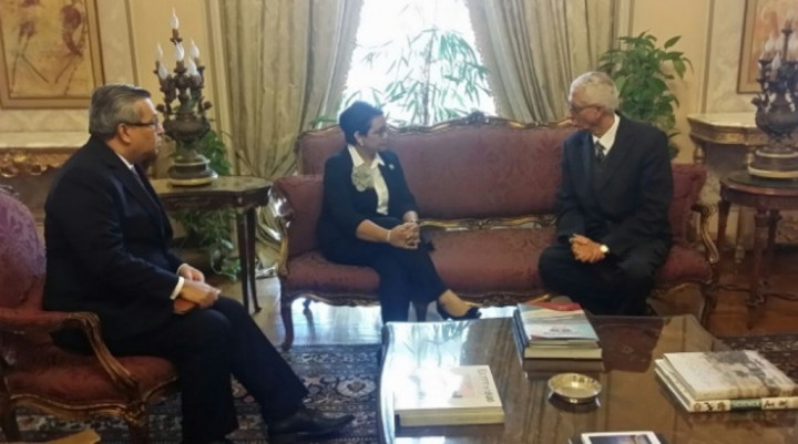 Bersama Mesir, Indonesia Coba Atasi Tantangan Dihadapi Dunia Islam