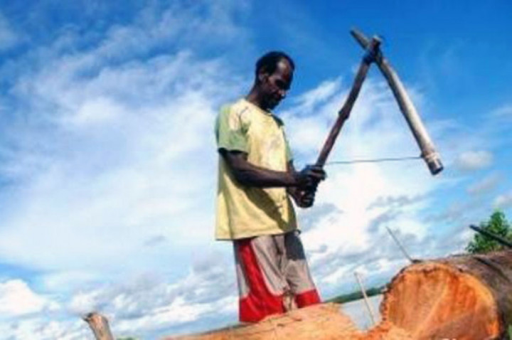 Budaya Tokok Sagu Biak Diusulkan dapat Sertifikat