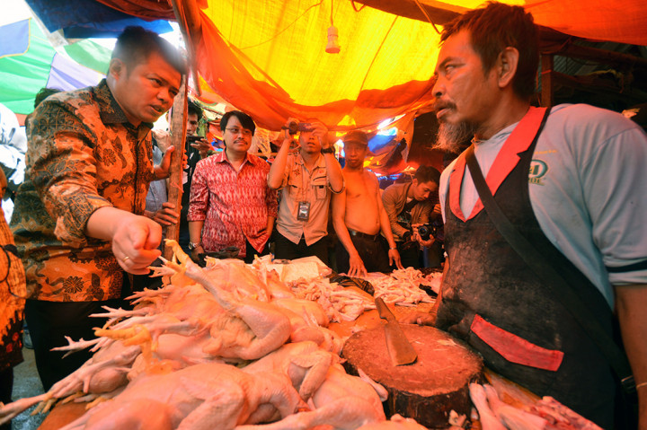 KPPU Sidak Harga Ayam Potong di Makassar