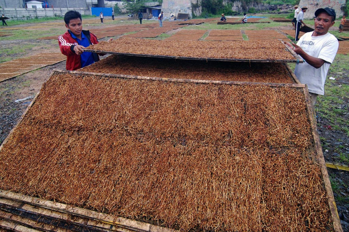 DBHCHT Malang Tersisa Rp31,3 Miliar