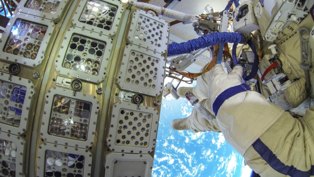 Tumbuhan Ini Bisa Bertahan di Luar Angkasa Selama 16 Bulan