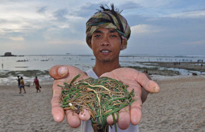 Bau Nyale Festival to be Held in Lombok