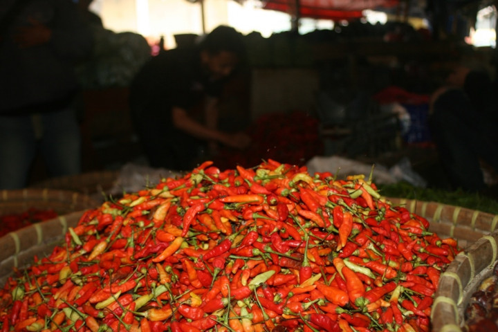 Pemerintah Belum Pikirkan Impor Cabai