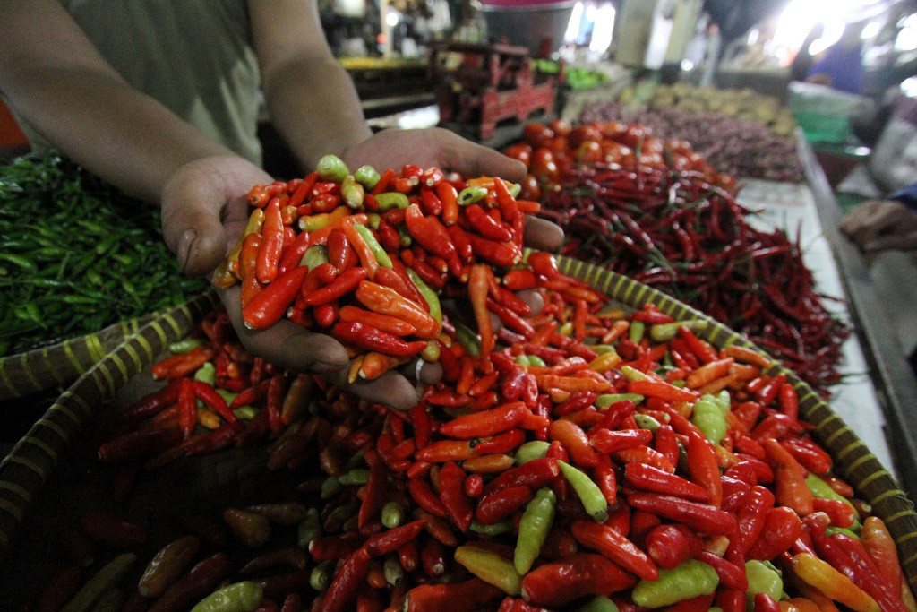Ilustrasi penjual cabai. (FOTO: MI/Arya Manggala)
