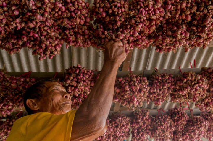 Harga Bawang Merah Pekalongan Naik