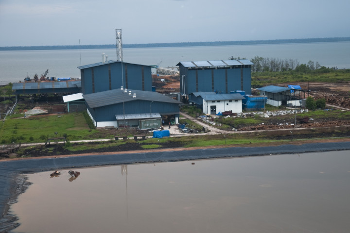 Produksi Sagu NSP 50% Diekspor