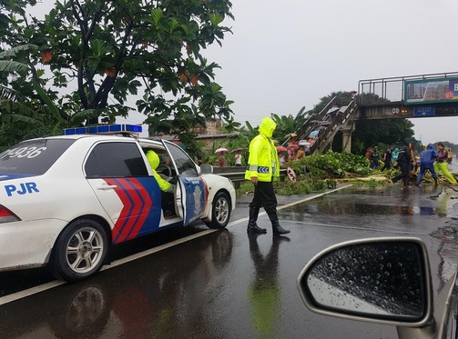 Pohon tumbang di Tol JORR. Foto: @FadliFadilRR