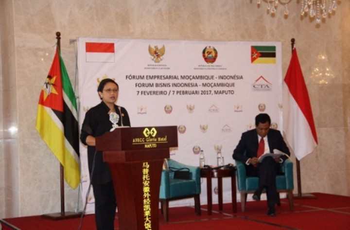 Diplomasi Ekonomi RI Gencar Sasar Afrika