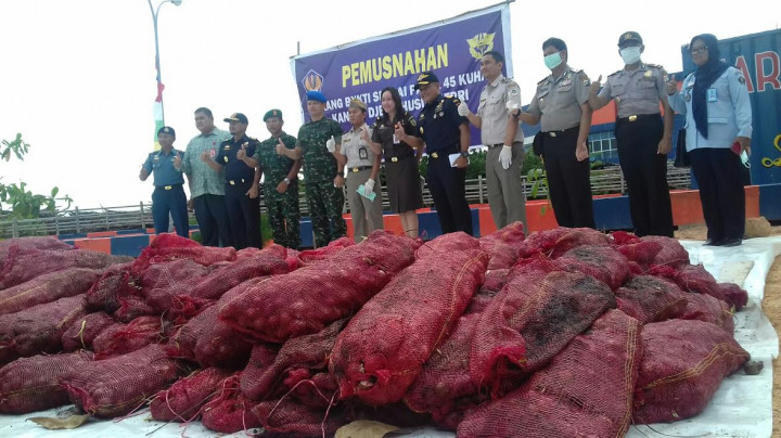 Bea Cukai Kepri Musnahkan 5.346 Karung Bawang Merah