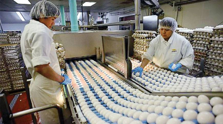 Pregnant Women Shoulld Avoid These 4 Foods