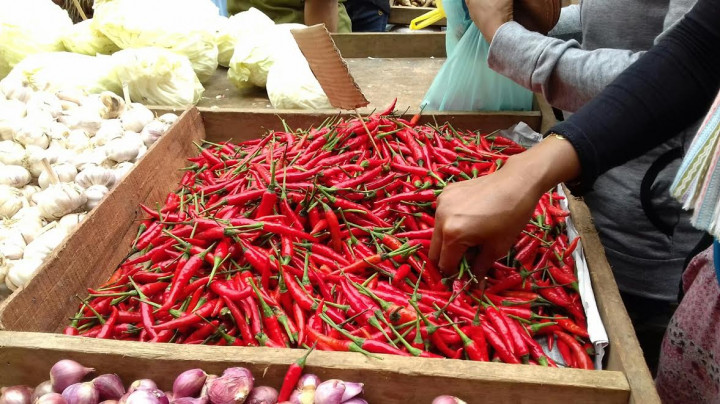 Cabai Vietnam Gempur Batam