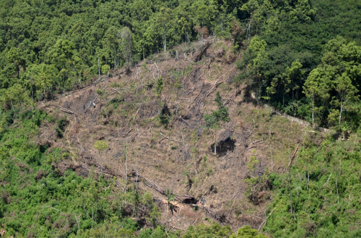 APP Sinar Mas Gelontorkan Rp390 Miliar Mengatasi Kebakaran Hutan di Riau