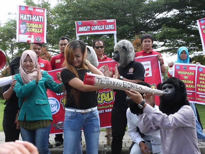 Hanoman Hancurkan Tembakau Gorila di Sukoharjo