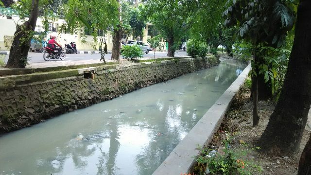 Kali Utan Kayu, Jakarta Timur, tercemar limbah hasil pemotongan ayam. Foto: MTVN/Intan Fauzi