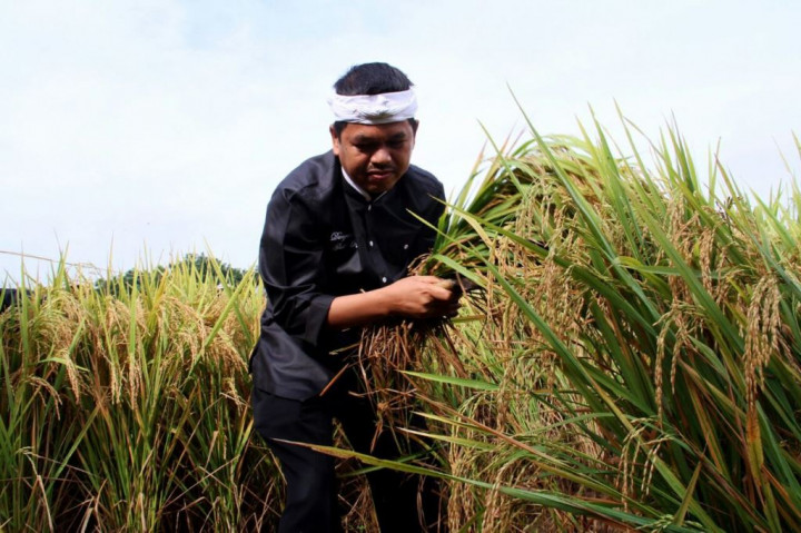 Upaya Bupati Purwakarta Sejahterakan Petani
