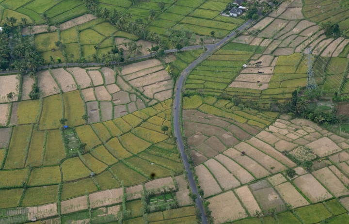 Ratusan Hektare Tanah di Mukomuko Diasuransikan