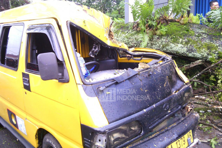Pohon Tumbang Timpa Mobil di Temanggung