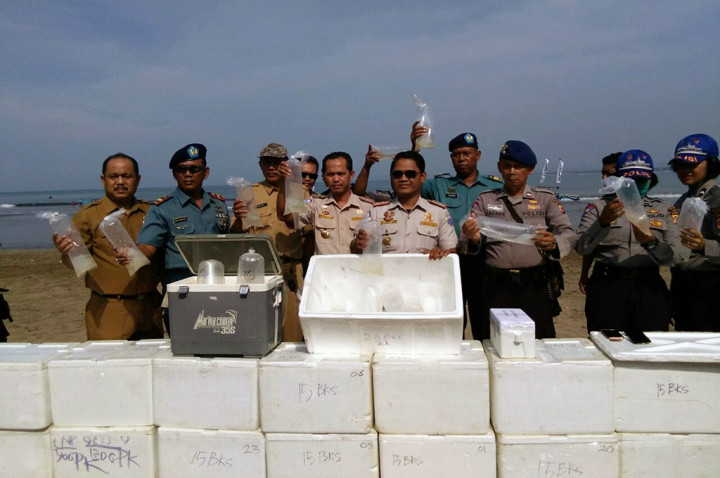 Jual Beli Ribuan Anak Lobster di Sukabumi Digagalkan