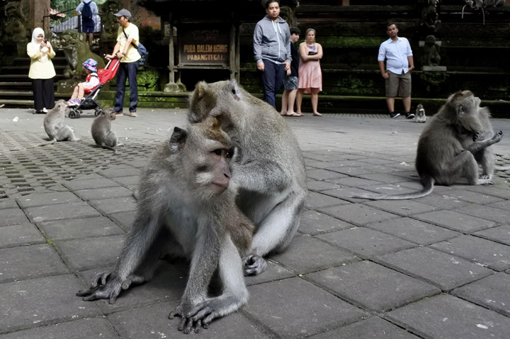 Pengamanan di Tiga Titik Destinasi di Bali Diperketat
