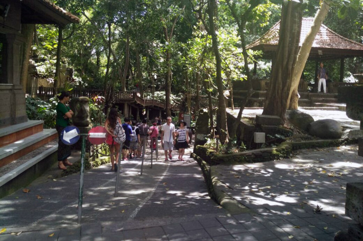 Monkey Forest, Salah Satu Destinasi Liburan Raja Salman