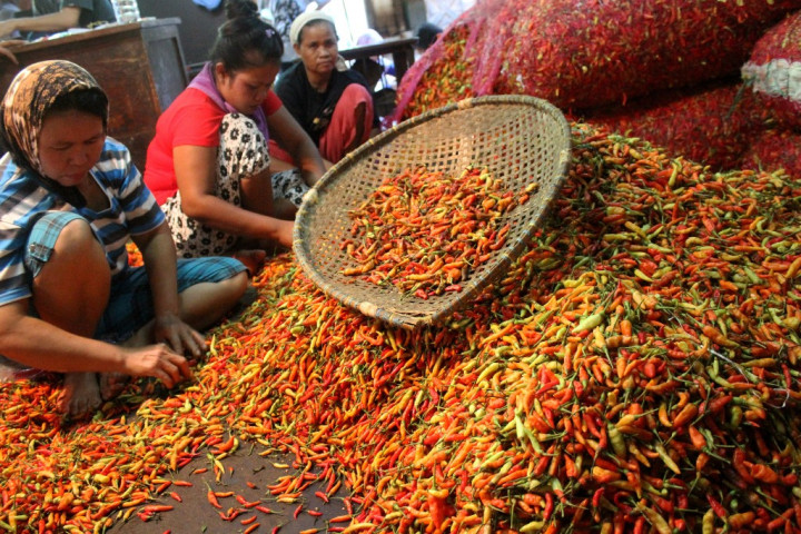Mengendalikan Harga Cabai