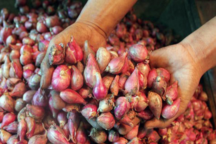 Bawang Thailand Banjiri Pasar Tradisional di Medan