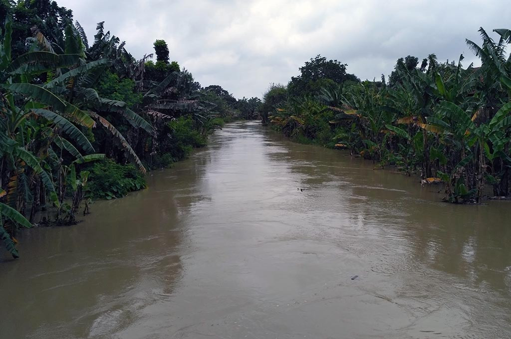 Aliran Sungai Serang Welahan Drainase (SWD) I Jepara, Jawa Tengah -- MTVN/Rhobi Shani