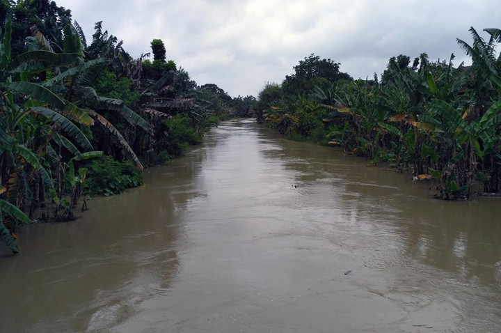 Tanggul Sungai di Jepara Rusak di Sejumlah Titik
