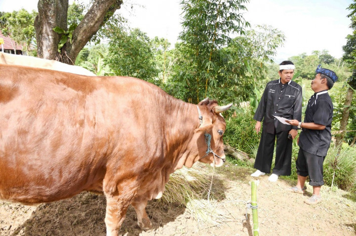 Pelajar di Purwakarta Belajar Praktikum Biologi Inseminasi Buatan