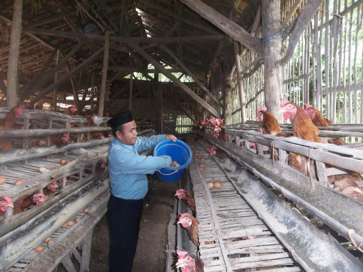 Harga Telur Ayam di Sumenep Anjlok
