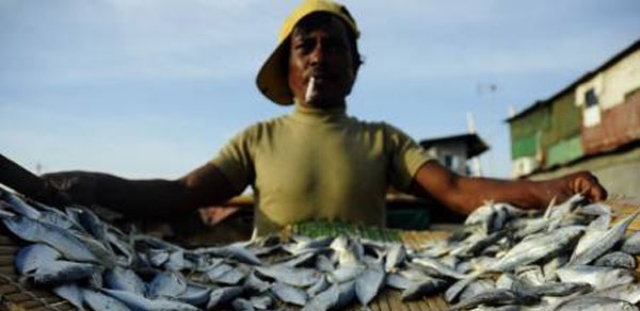 Harga Garam Meroket, Ratusan Perajin Ikan Asin Terancam Gulung Tikar