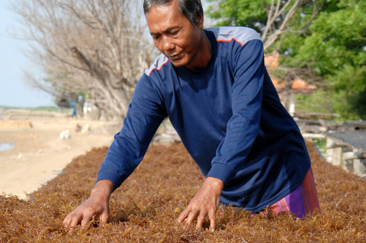 Kemendes PDTT Kembangkan Produk Unggulan di Kawasan Blok Masela