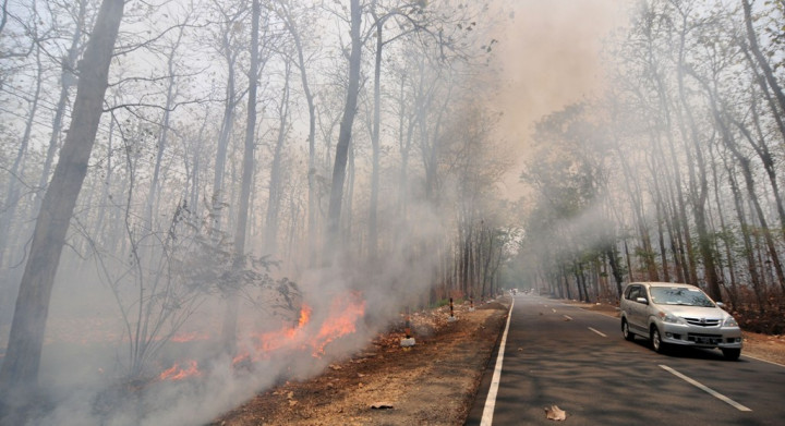 APP Sinar Mas Gelontorkan Rp5,2 Miliar Bangun Menara Pantau