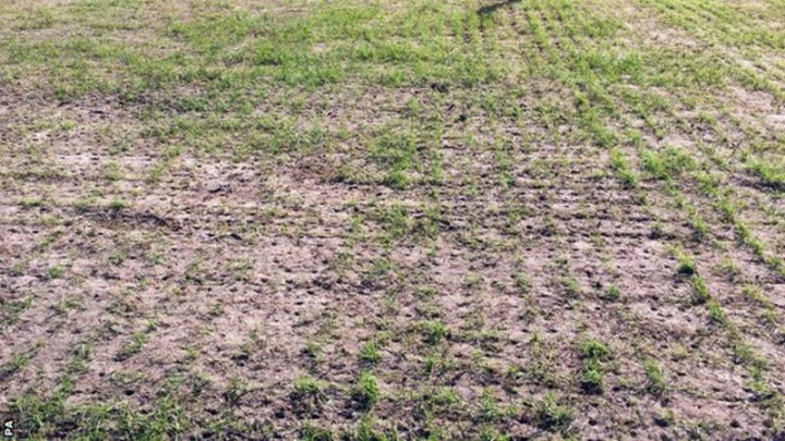 Kondisi Lapangan Memprihatinkan, Rostov Dilarang Gunakan Stadion Olimp 2