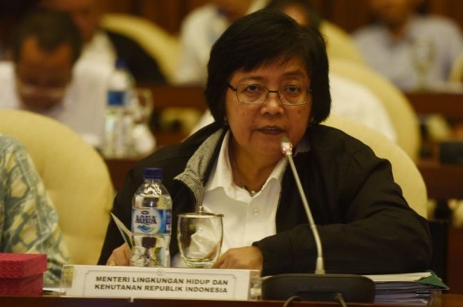 Perbaikan Terumbu Karang di Raja Ampat Butuh Puluhan Tahun