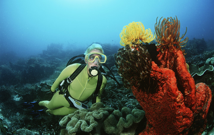 Kesalahan Kolektif Merusak Karang