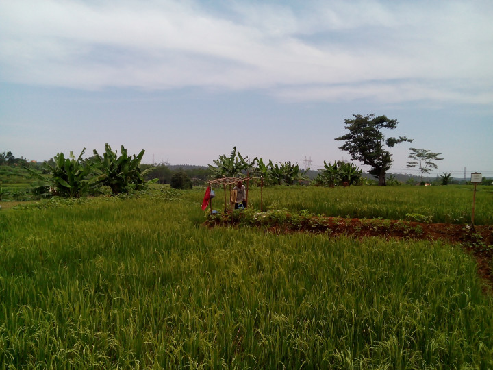 Pembuatan STD-B di Mukimuko Masih Digratiskan
