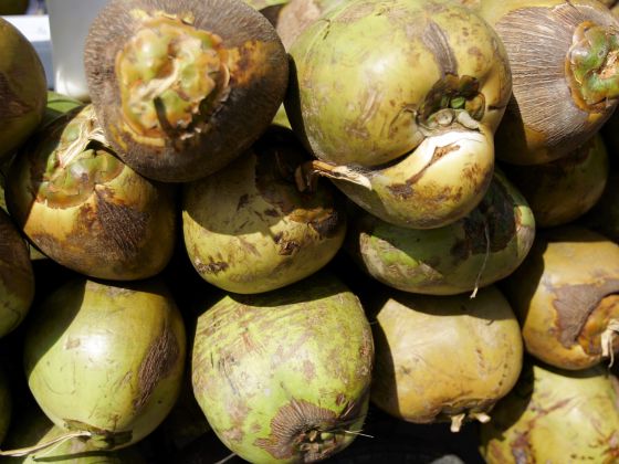 These 5 Foods Contain Beneficial Fats