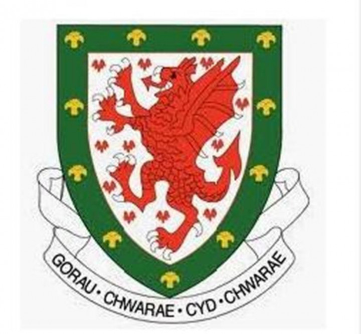 1876: Debut Minor Timnas Wales